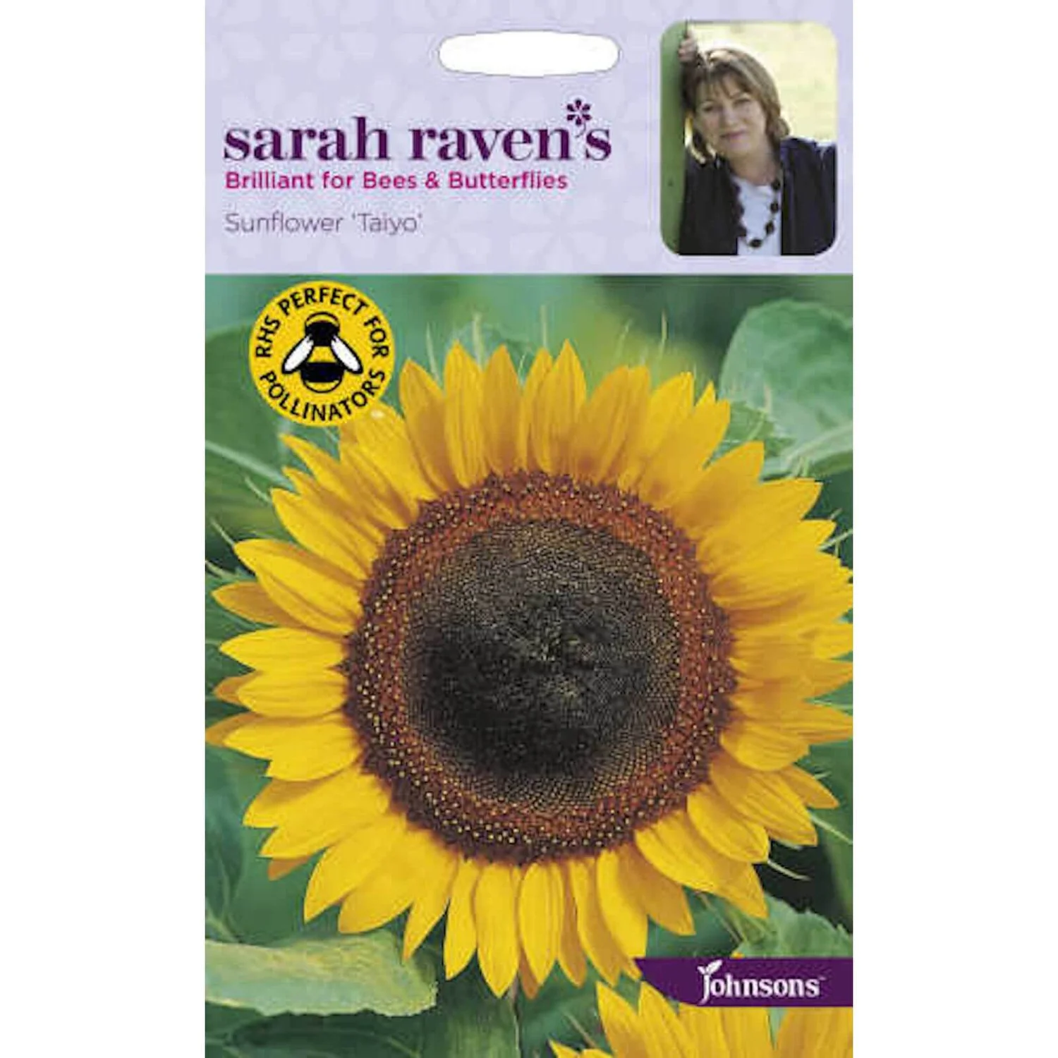 Sarah Ravens Sunflower Taiyo Seeds 1 Sarah Ravens Sunflower Taiyo Seeds