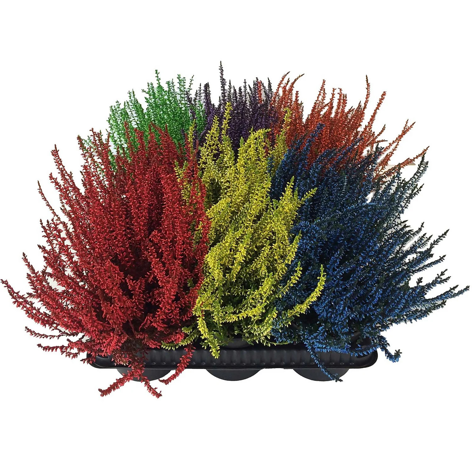 None Heather Mix 1 None Heather Mix