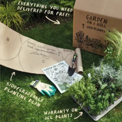 Sensory Border Collection - 10m X 60cm -Garden Care Shop 12806940 9345034598437291