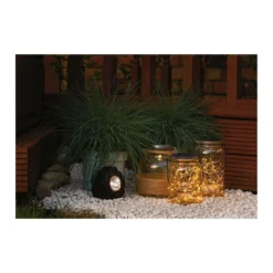 Grass Festuca Intense Blue (Blue Fescue) 17cm -Garden Care Shop 12807045 7014833169526928