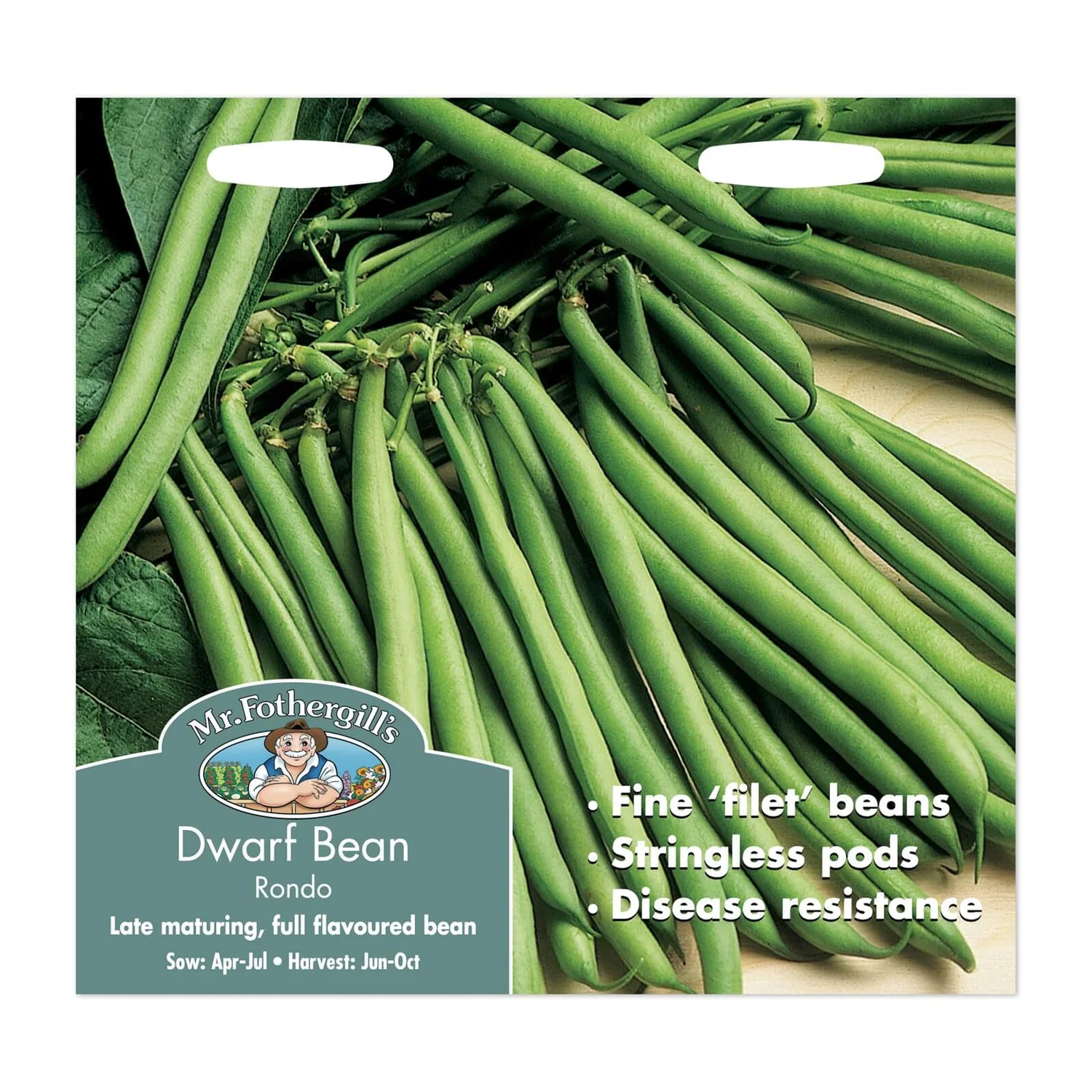 Mr. Fothergill's Dwarf Bean Rondo Seeds 1 Mr. Fothergill's Dwarf Bean Rondo Seeds
