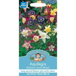 Mr. Fothergill's Aquilegia Mckana Giant Mixed (Aquilegia Cultorum) Seeds