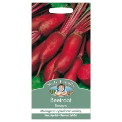 Mr. Fothergill's Beetroot Renova Seeds