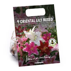 None Mixed Lilies - Summer Bloom Bulbs
