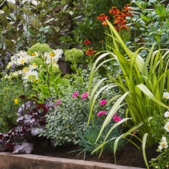 Sunny Border Collection - 8m X 90cm 10 Sunny Border Collection - 8m X 90cm -Garden Care Shop 12811337 1595034640594482