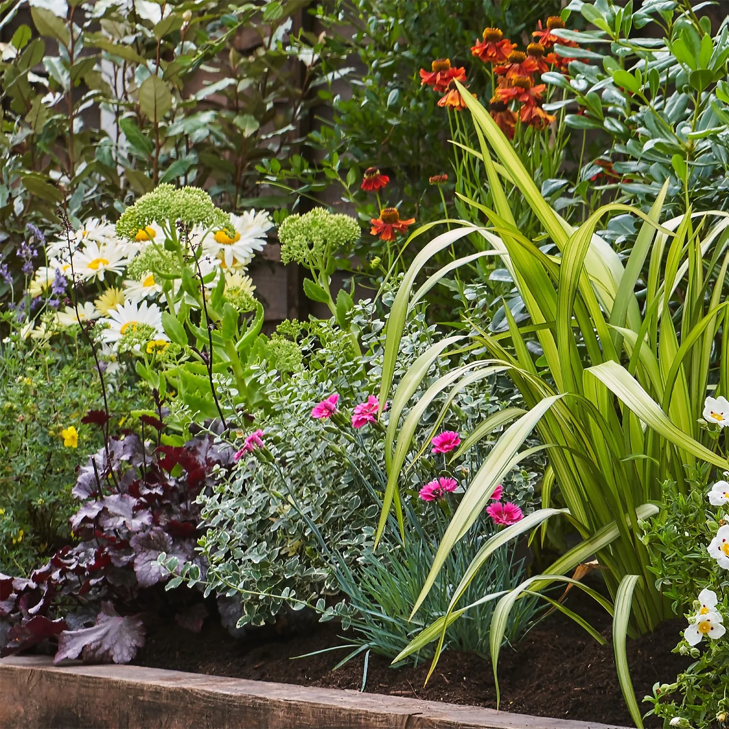 Sunny Border Collection - 8m X 90cm 4 Sunny Border Collection - 8m X 90cm - Image 4