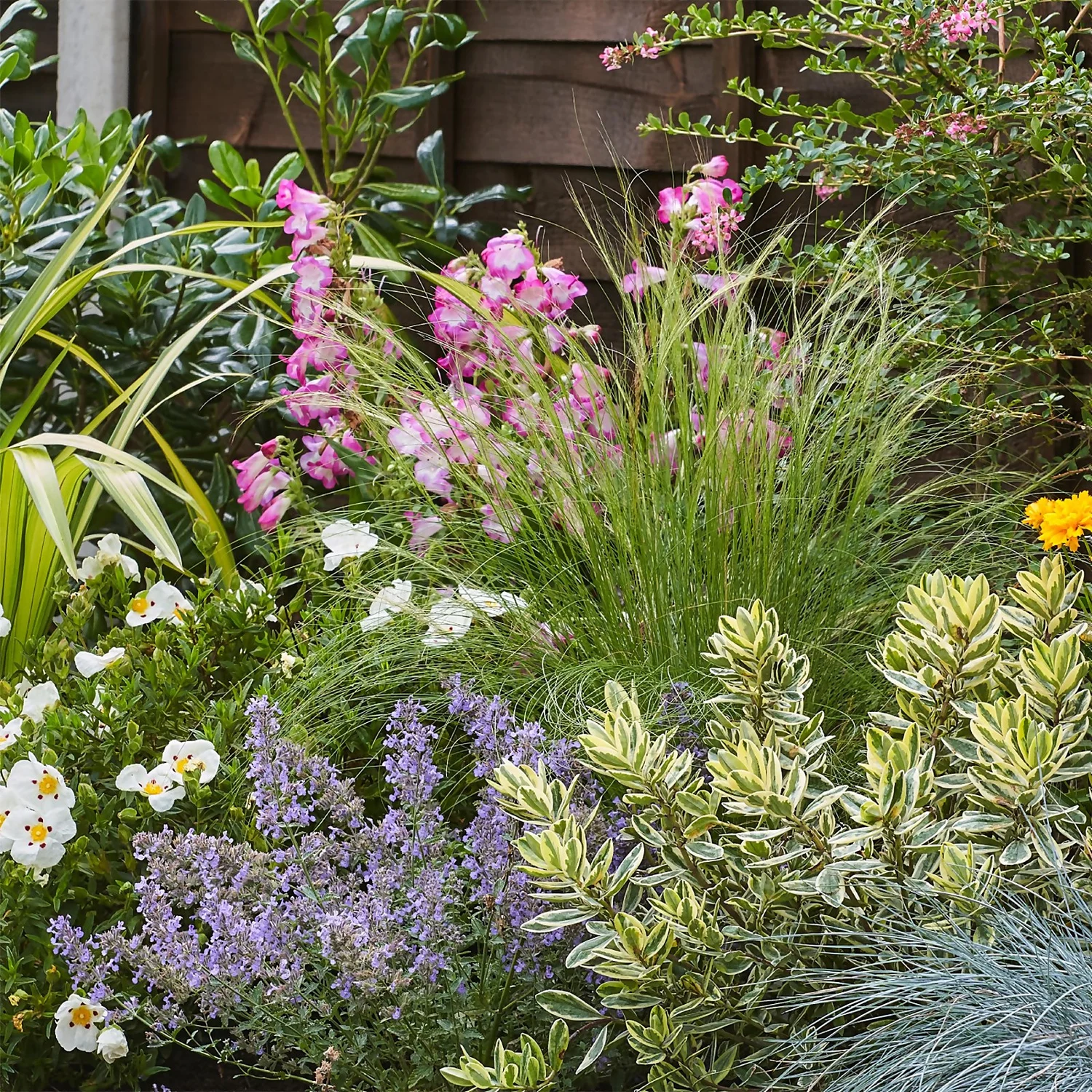 Sunny Border Collection - 8m X 90cm 5 Sunny Border Collection - 8m X 90cm - Image 5