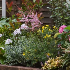 Shady Border Collection - 7m X 90cm -Garden Care Shop 12811425 1805034637201647