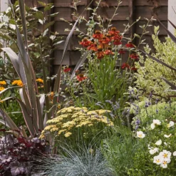 Mediterranean Border Collection - 7m X 60cm -Garden Care Shop 12811469 3015027868437847