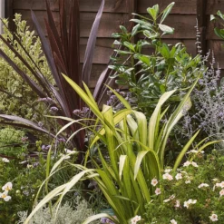 Mediterranean Border Collection - 8m X 60cm -Garden Care Shop 12811471 2575027803846659