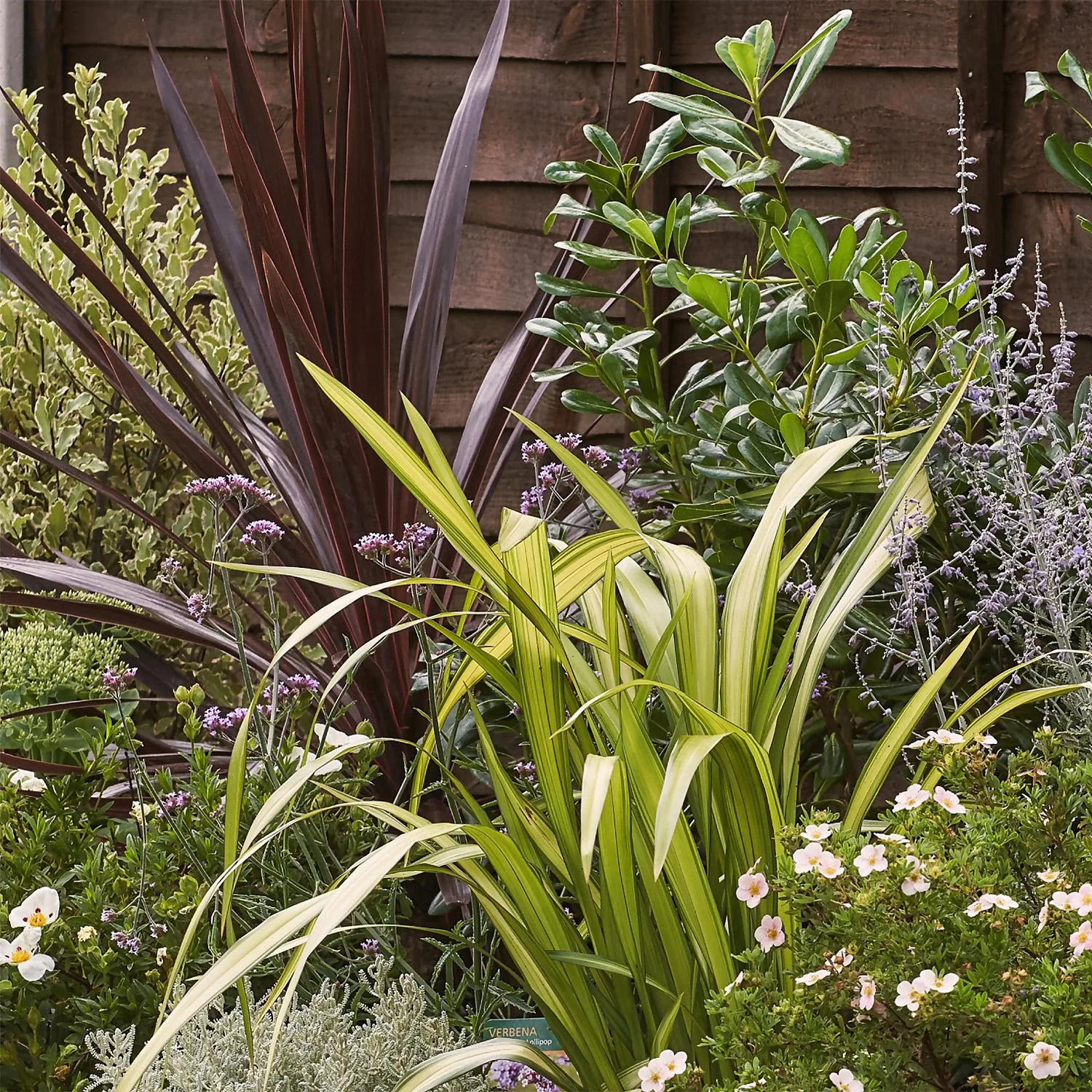 Mediterranean Border Collection - 9m X 90cm 5 Mediterranean Border Collection - 9m X 90cm - Image 5