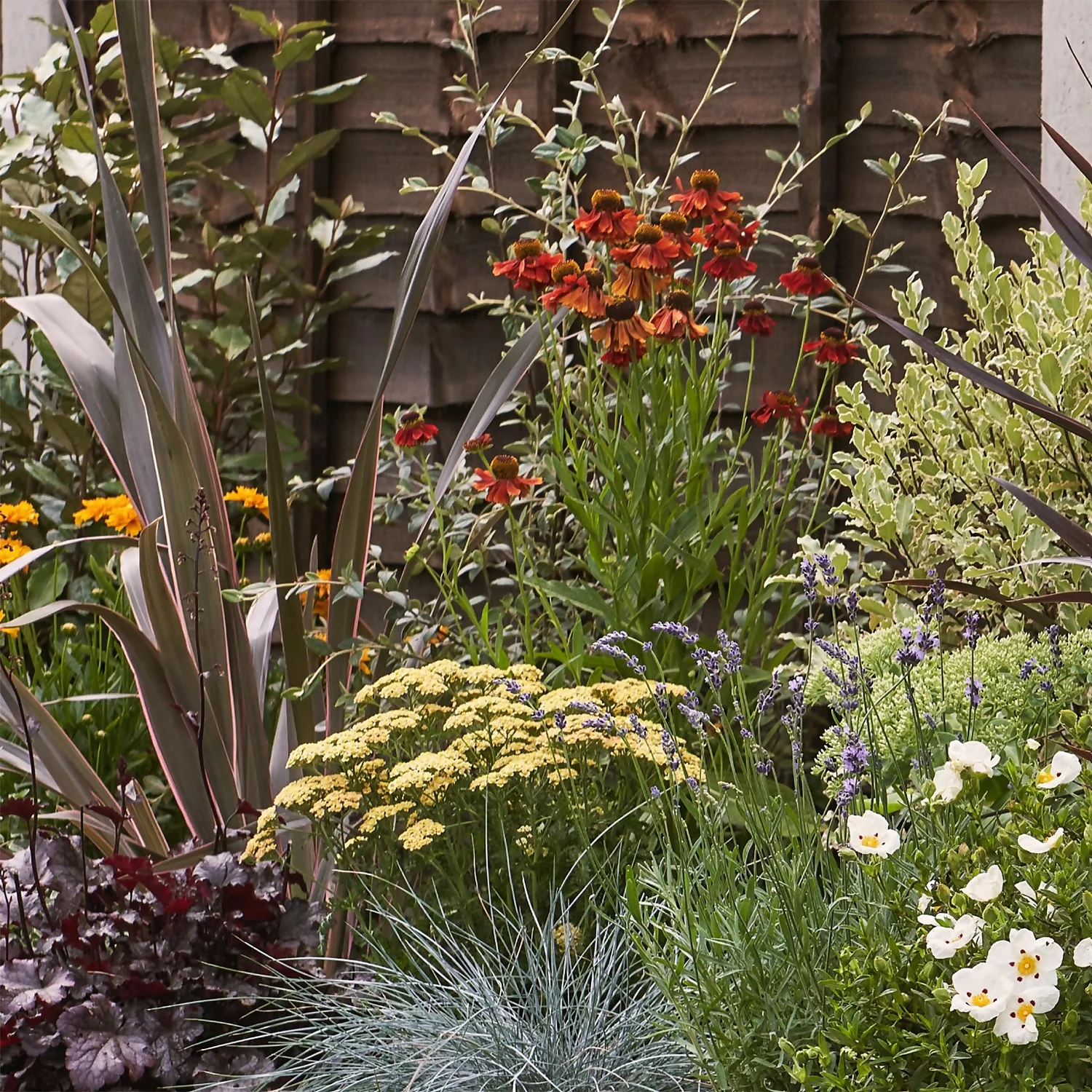 Mediterranean Border Collection - 9m X 90cm 4 Mediterranean Border Collection - 9m X 90cm - Image 4