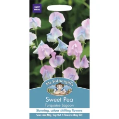 Mr. Fothergill's Sweet Pea Turqoise Lagoon