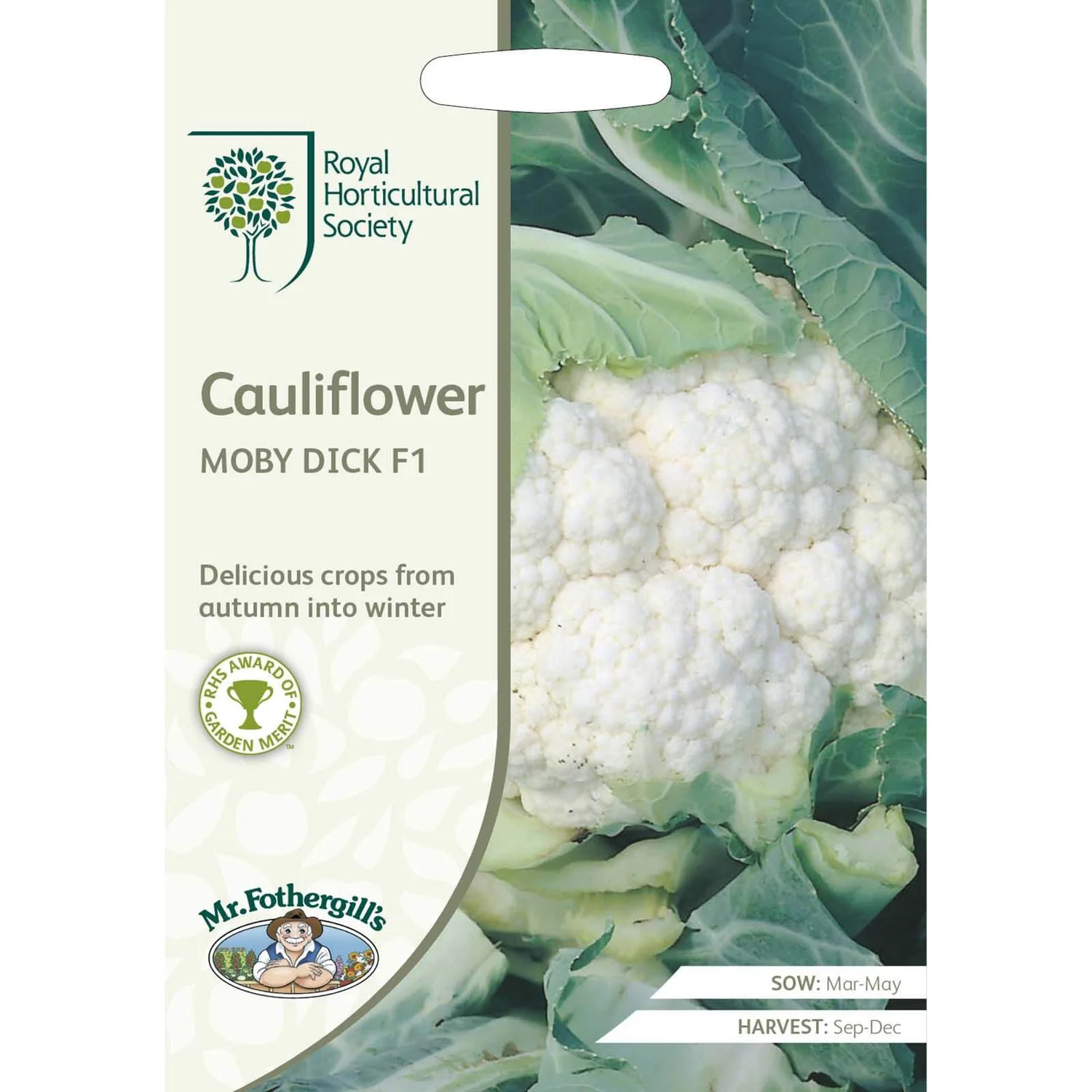 RHS Cauliflower Moby Dick F1 Seeds 1 RHS Cauliflower Moby Dick F1 Seeds
