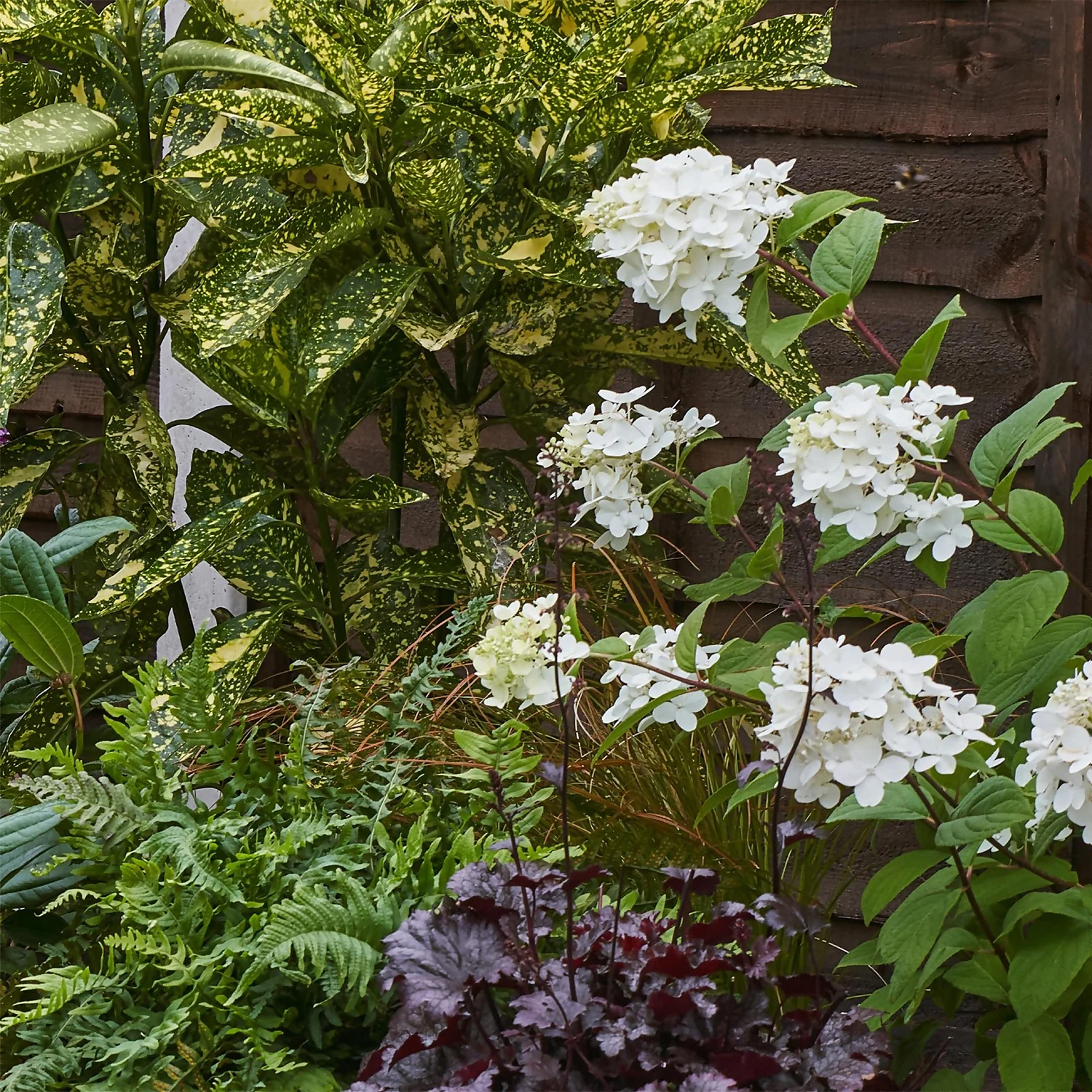 Shady Border 6m X 40cm 6 Shady Border 6m X 40cm - Image 6