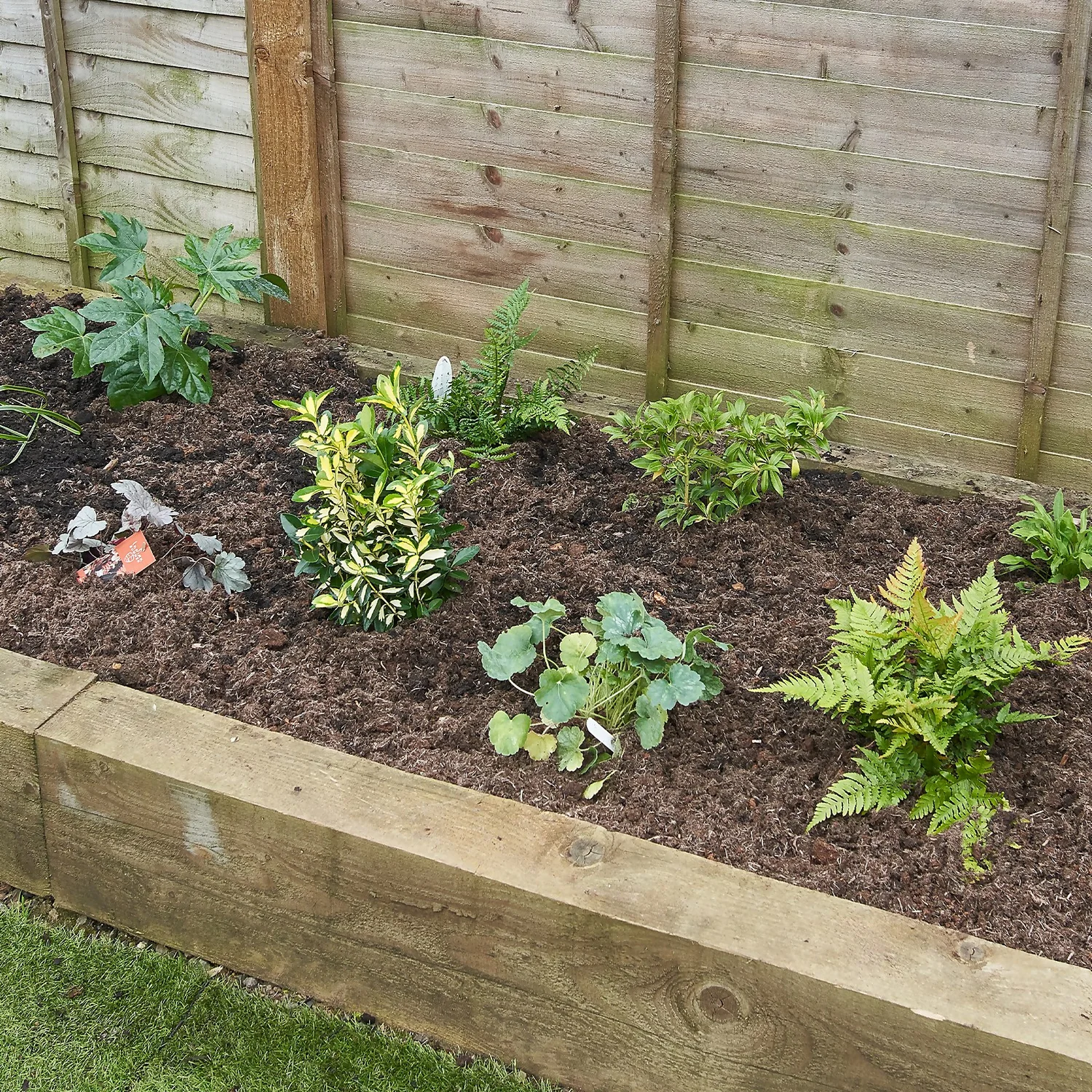 Shady Border 6m X 40cm 3 Shady Border 6m X 40cm - Image 3