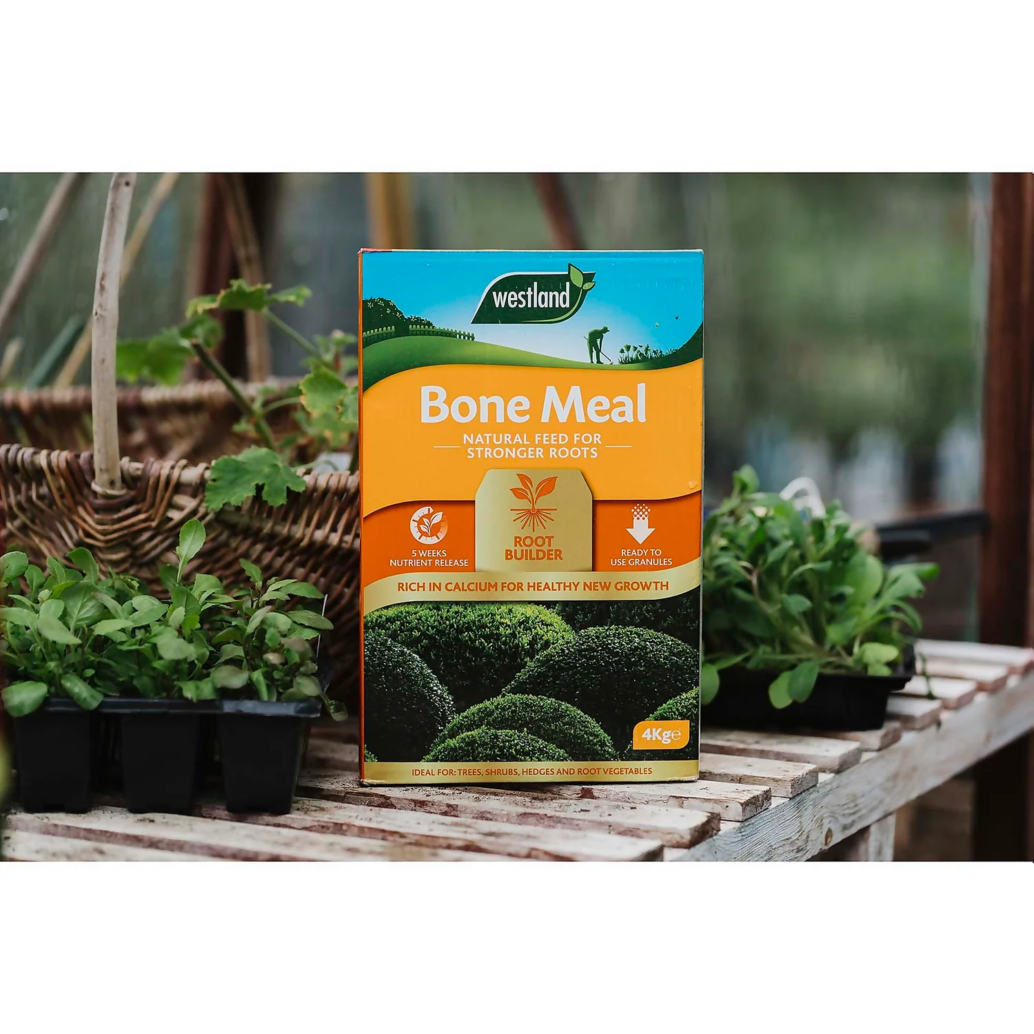 Westland Bone Meal Root Builder - 4 Kg 2 Westland Bone Meal Root Builder - 4 Kg - Image 2