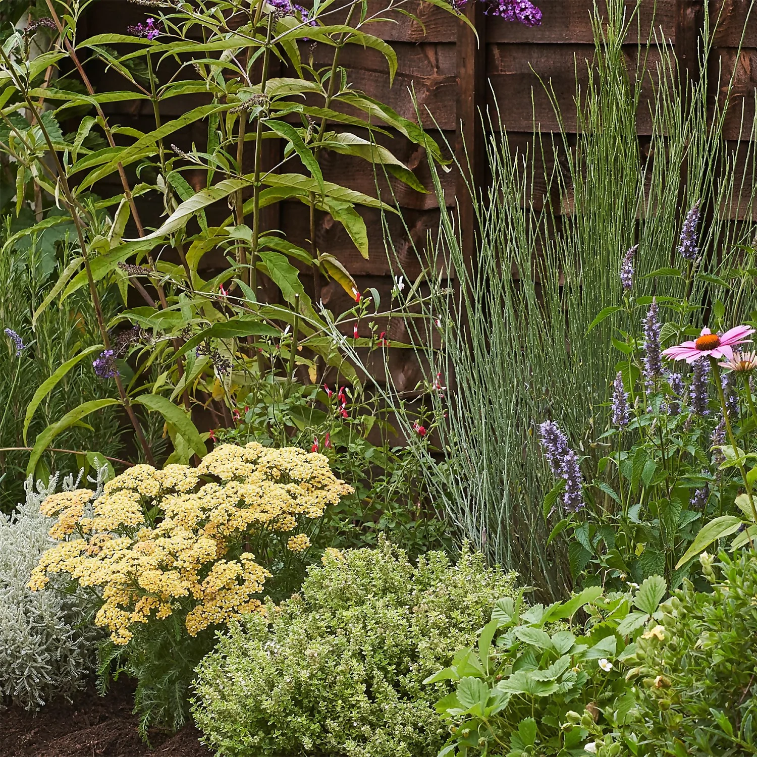 Sensory Border 8m X 40cm 5 Sensory Border 8m X 40cm - Image 5