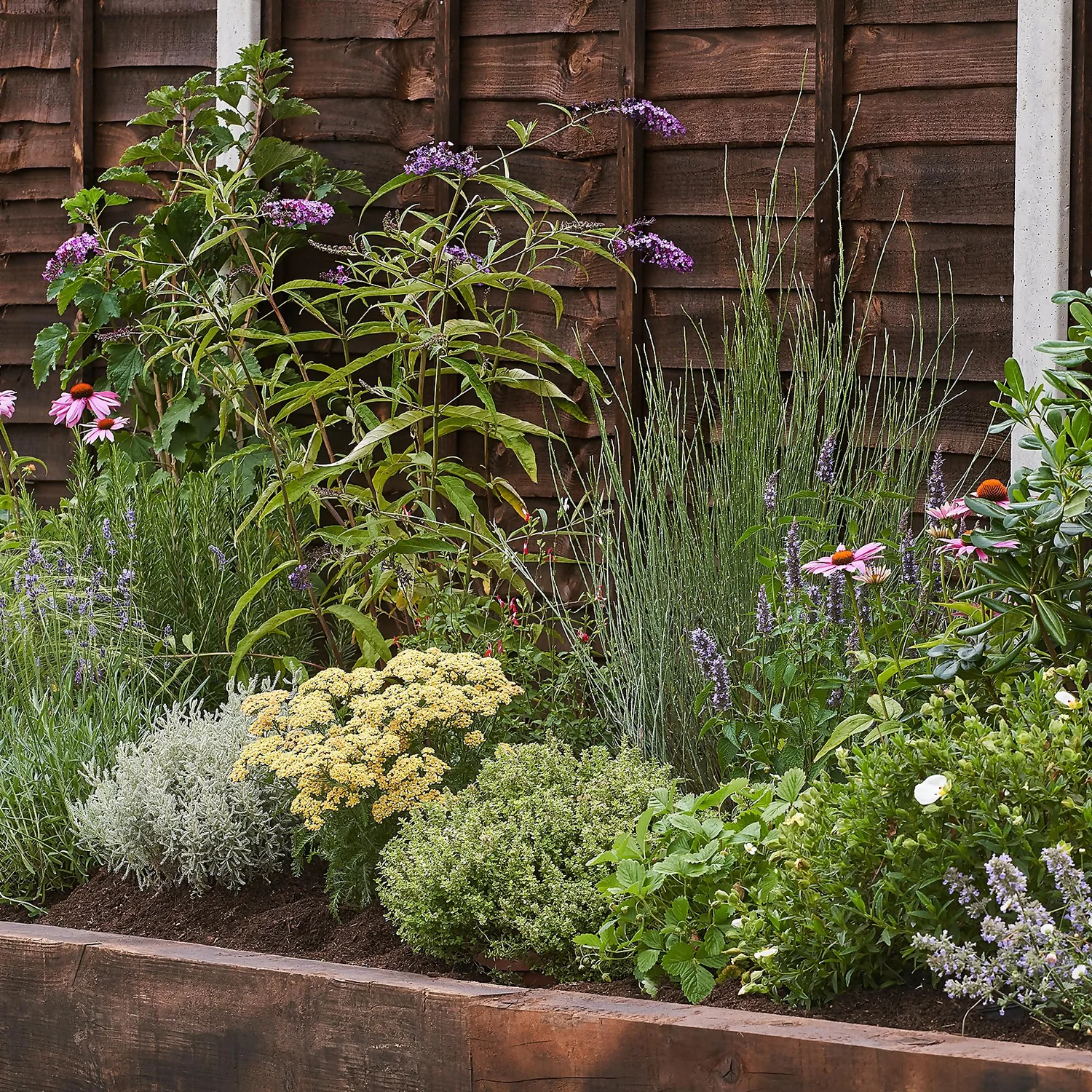 Sensory Border 8m X 40cm 1 Sensory Border 8m X 40cm