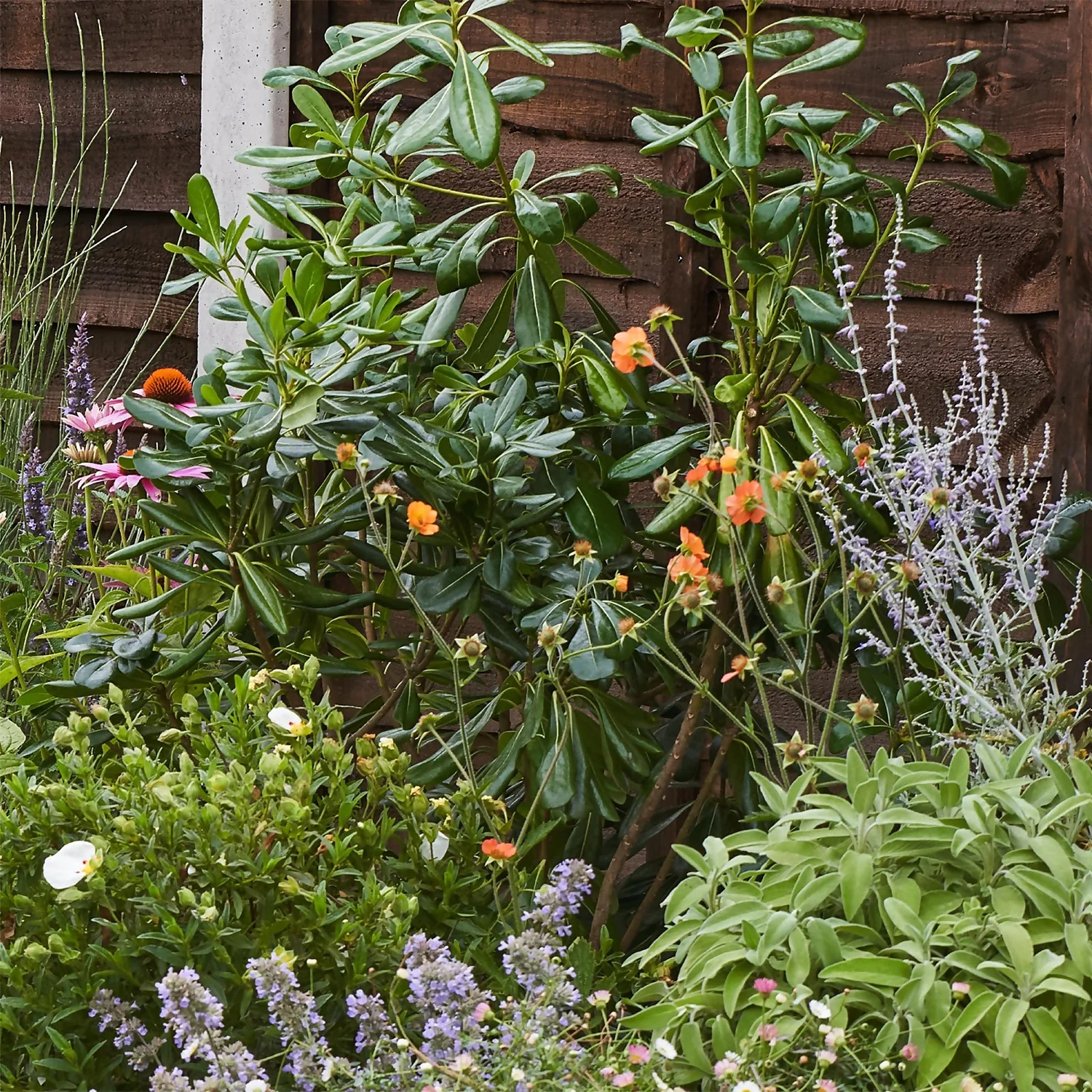 Sensory Border 8m X 40cm 6 Sensory Border 8m X 40cm - Image 6