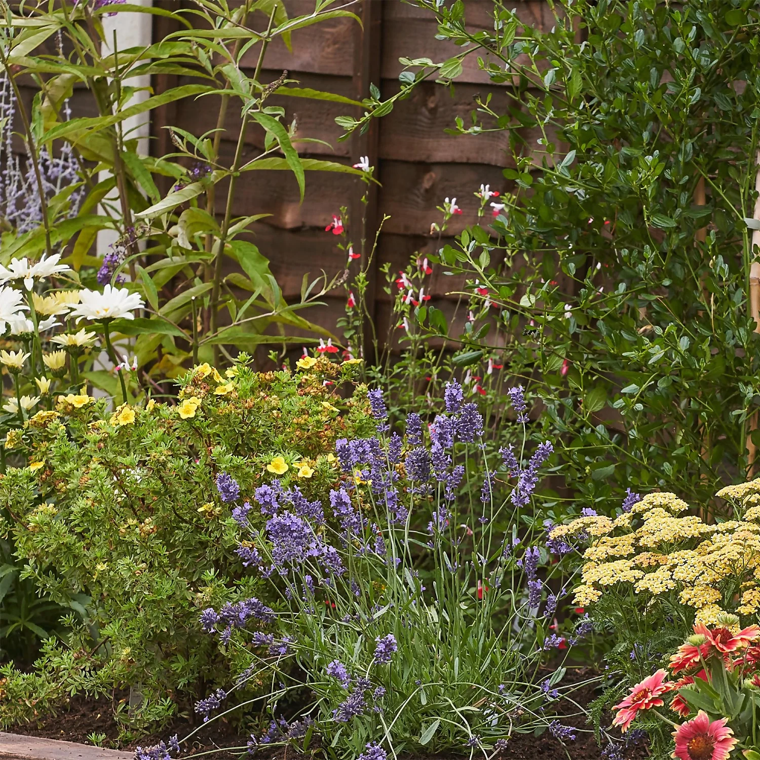 Bee And Butterfly Border 3m X 120cm 5 Bee And Butterfly Border 3m X 120cm - Image 5