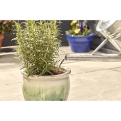 Miracle-Gro Pump & Feed All Purpose Plant Food - 200ml -Garden Care Shop 12834802 8834833167206419