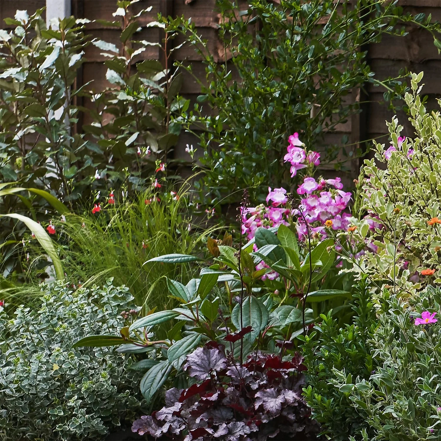 Garden On A Roll Eco Border - 8m X 40cm 4 Garden On A Roll Eco Border - 8m X 40cm - Image 4