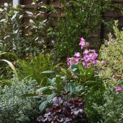 Garden On A Roll Eco Border - 7m X 60cm 10 Garden On A Roll Eco Border - 7m X 60cm -Garden Care Shop 12837837 1485027574413268