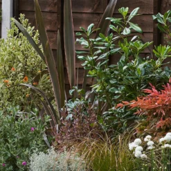 Garden On A Roll Eco Border - 10m X 60cm -Garden Care Shop 12837846 5815027899985106