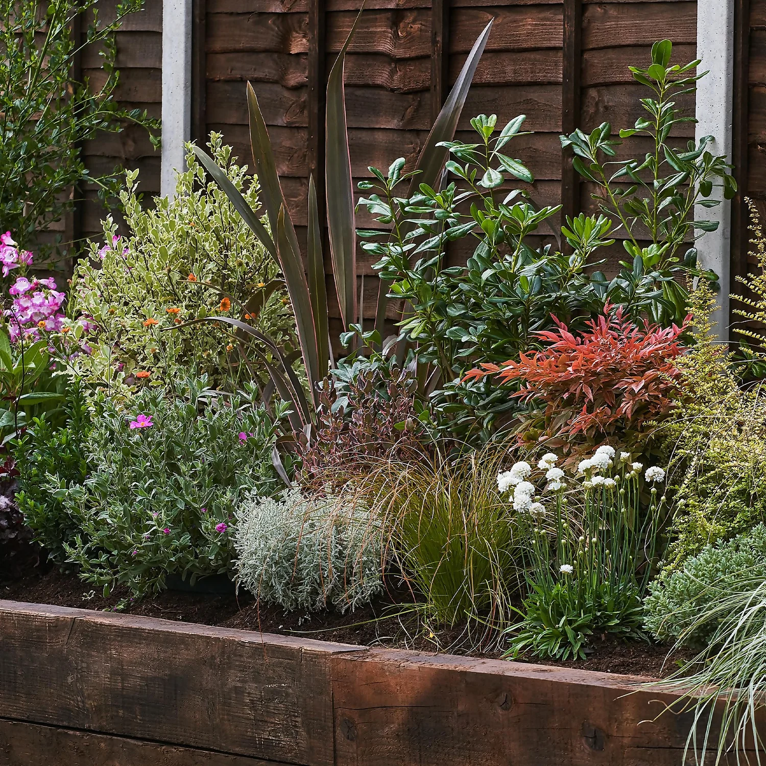 Garden On A Roll Eco Border - 2m X 90cm 1 Garden On A Roll Eco Border - 2m X 90cm