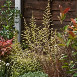 Garden On A Roll Eco Border - 2m X 90cm 12 Garden On A Roll Eco Border - 2m X 90cm -Garden Care Shop 12837982 1425027900000238