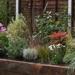 Garden On A Roll Eco Border - 5m X 90cm