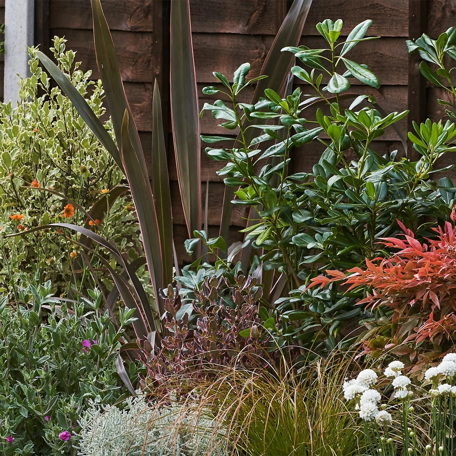 Garden On A Roll Eco Border - 2m X 120cm 5 Garden On A Roll Eco Border - 2m X 120cm - Image 5