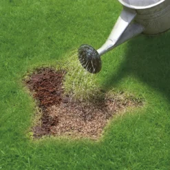 Miracle-Gro Patch Magic Grass Seed, Feed & Coir - 48 Patch Bag -Garden Care Shop 12841642 1784927305573390