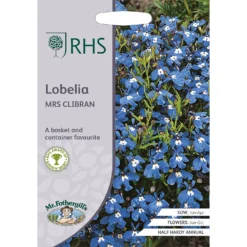 RHS Lobelia Mrs Clibran