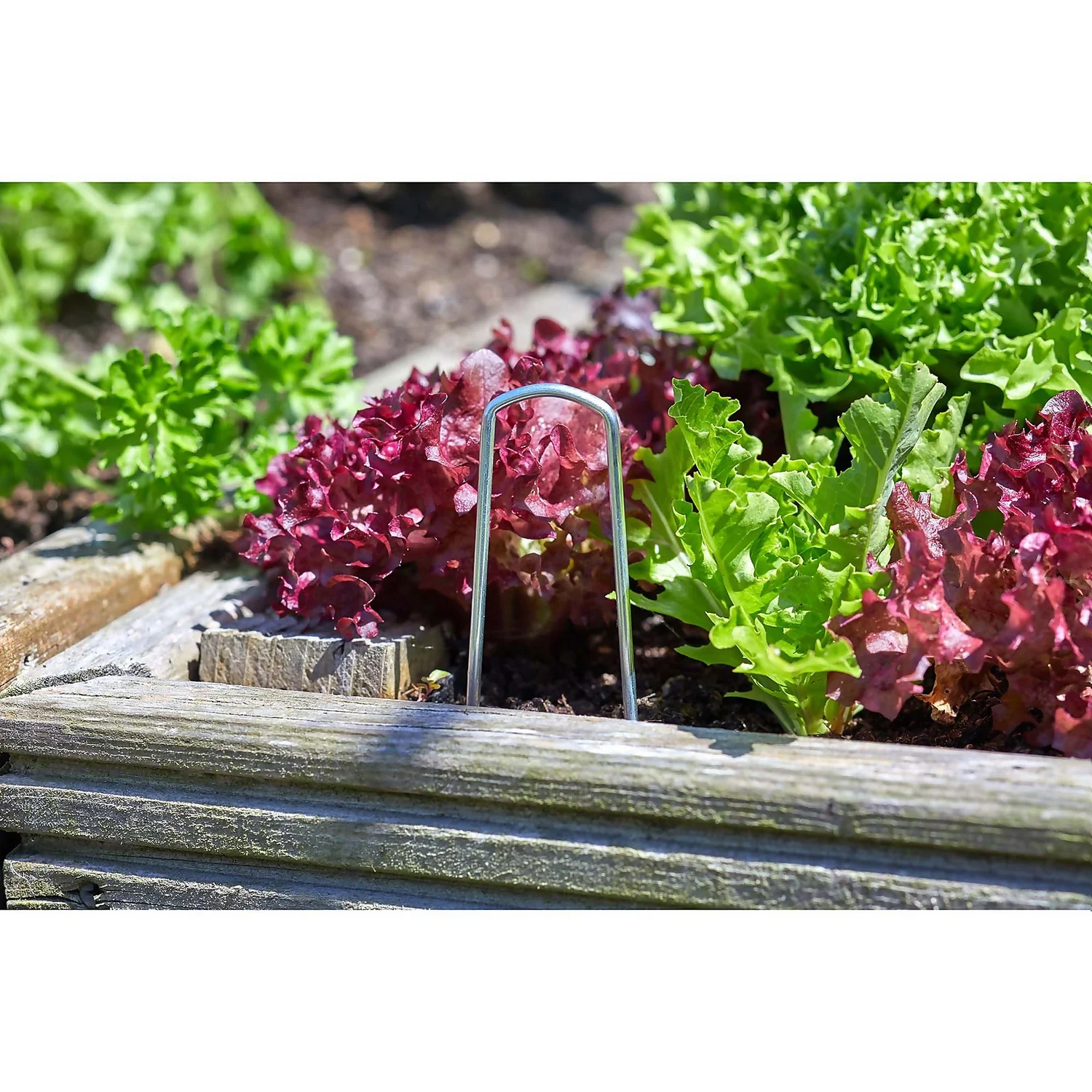 Ground Hooks - 10 Pack 1 Ground Hooks - 10 Pack