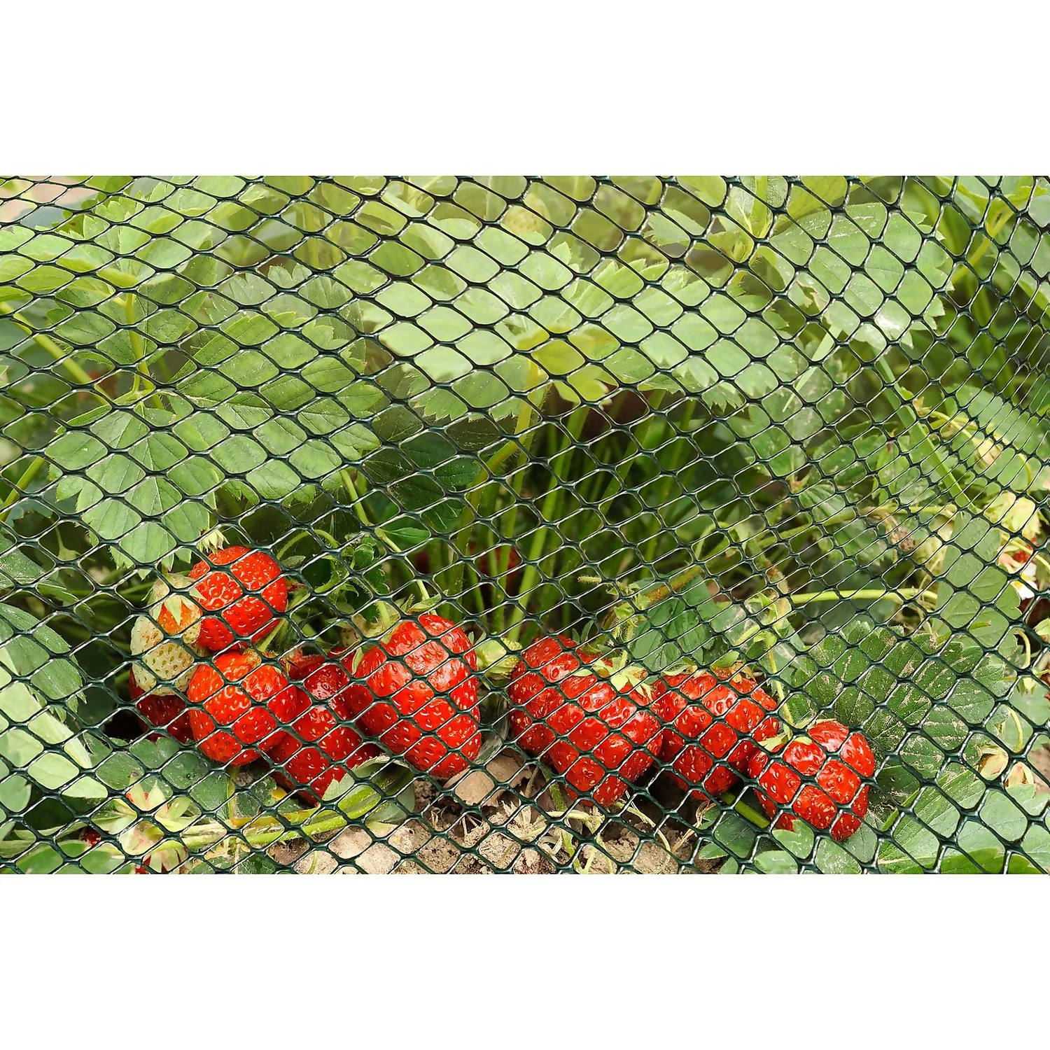 15mm Green Multi-Mesh - 5m X 0.5m 2 15mm Green Multi-Mesh - 5m X 0.5m - Image 2