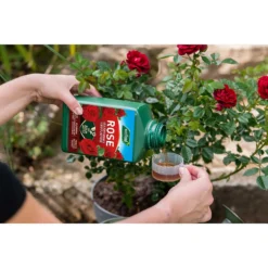 Westland Rose Specialist Liquid Plant Food Concentrate - 1l -Garden Care Shop 12886481 7044936610878716
