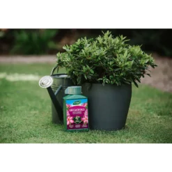 Westland Ericaceous Specialist Feed - 1l 9 Westland Ericaceous Specialist Feed - 1l -Garden Care Shop 12886482 6714971590616774