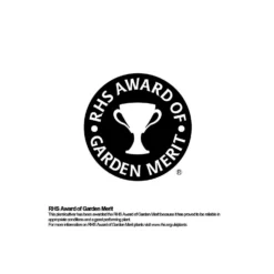 Bamboo Gold Phyllostachys Aureosulcata Aurea 10L 7 Bamboo Gold Phyllostachys Aureosulcata Aurea 10L -Garden Care Shop 12892481 9794843901569623