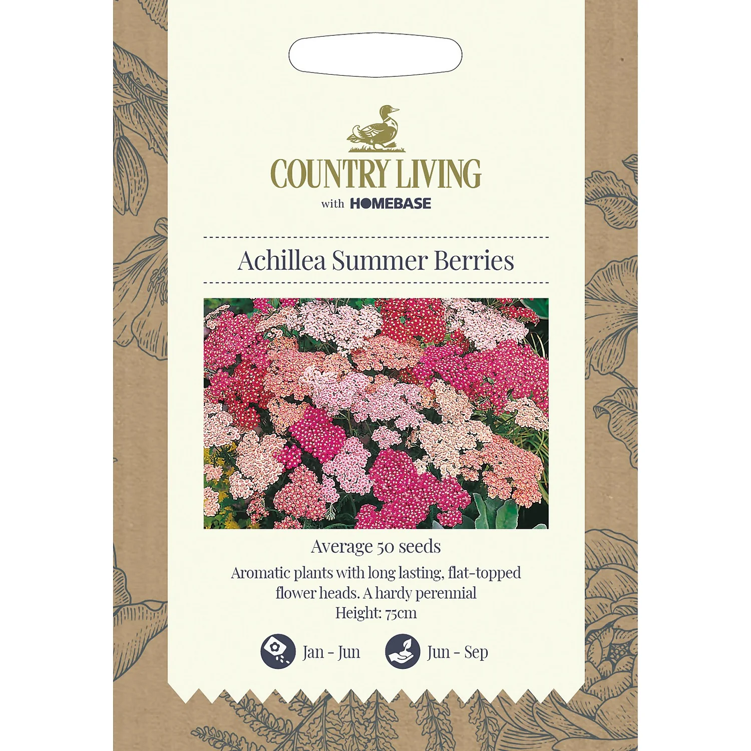 Country Living Achillea Summer Berries Seeds 1 Country Living Achillea Summer Berries Seeds