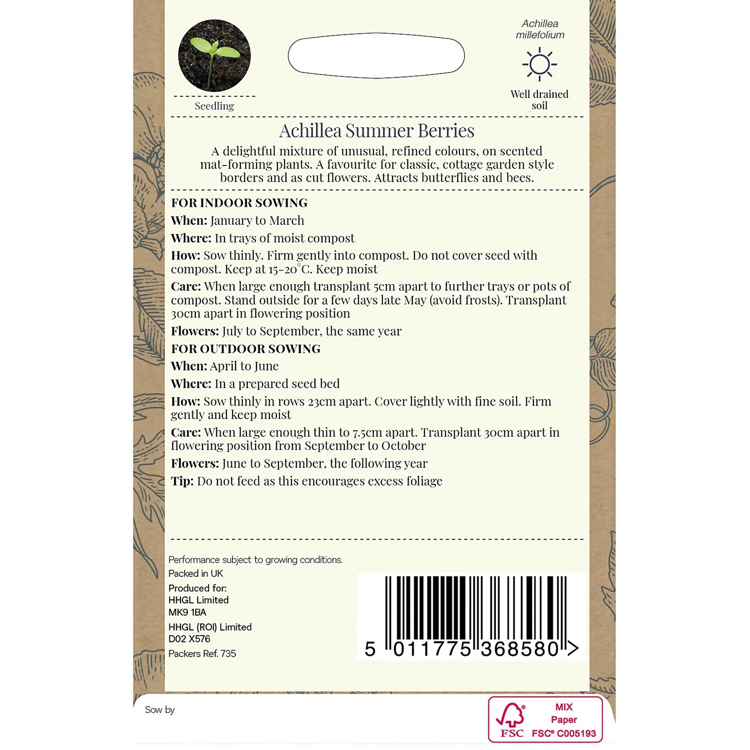 Country Living Achillea Summer Berries Seeds 2 Country Living Achillea Summer Berries Seeds - Image 2