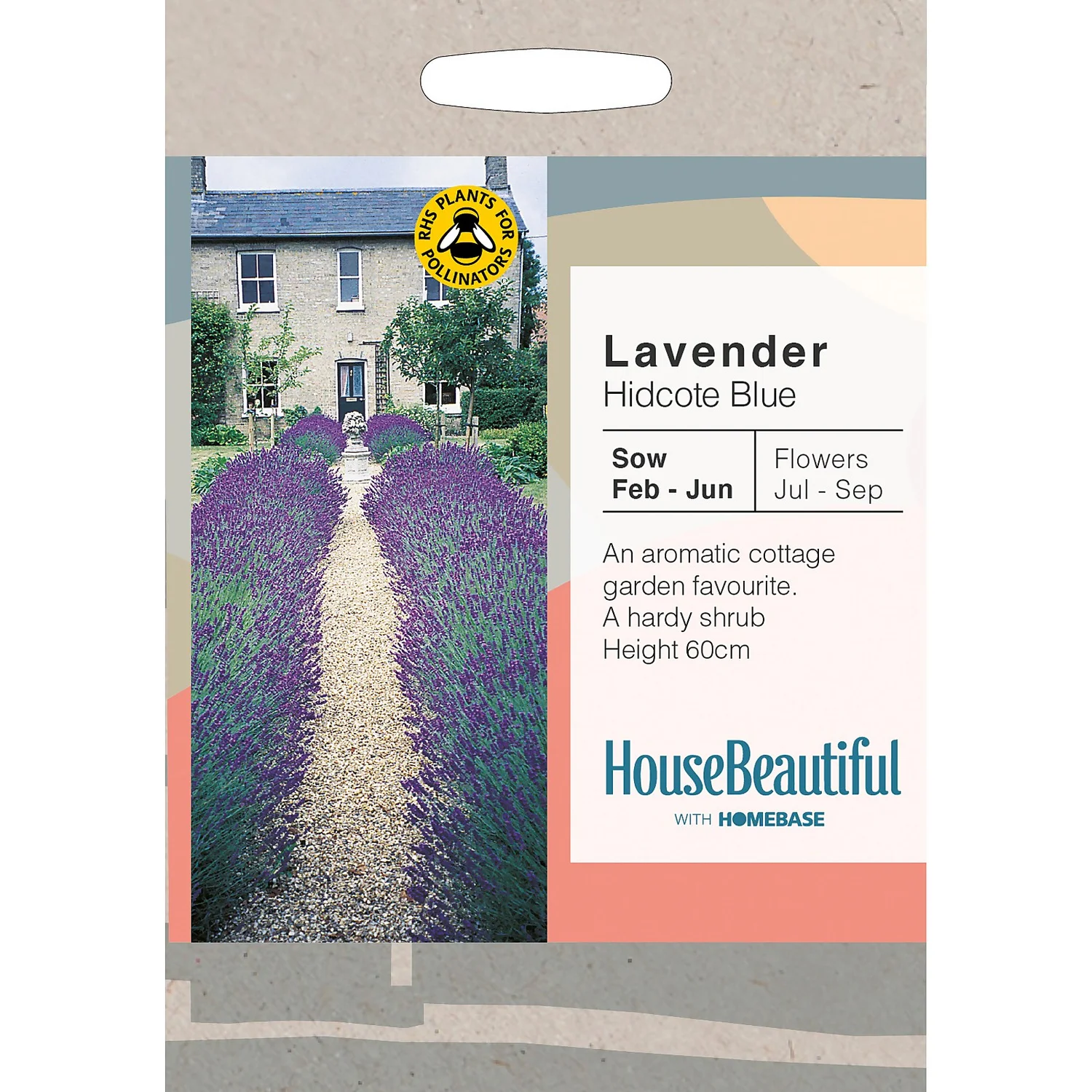 House Beautiful Lavender Hidcote Blue Seeds 1 House Beautiful Lavender Hidcote Blue Seeds