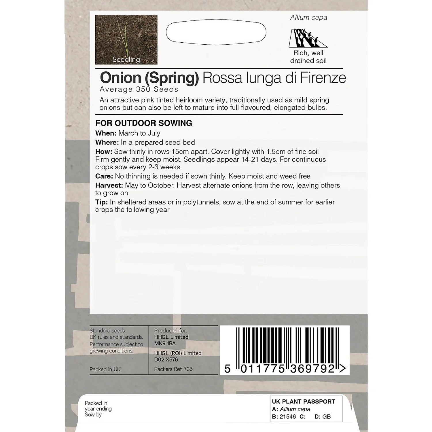 House Beautiful Onion Spring Rossa Lunga Di Firenze Seeds 2 House Beautiful Onion Spring Rossa Lunga Di Firenze Seeds - Image 2