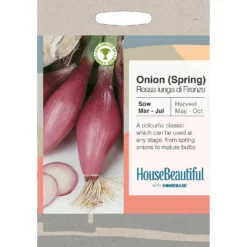 House Beautiful Onion Spring Rossa Lunga Di Firenze Seeds
