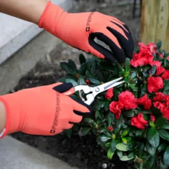 House Beautiful Gardening Gloves - Orange & Black 9 House Beautiful Gardening Gloves - Orange & Black -Garden Care Shop 13188715 1664928026723635