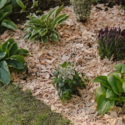 Westland Rustic Wood Chips - 60L 6 Westland Rustic Wood Chips - 60L -Garden Care Shop 13280769 1564929084866478