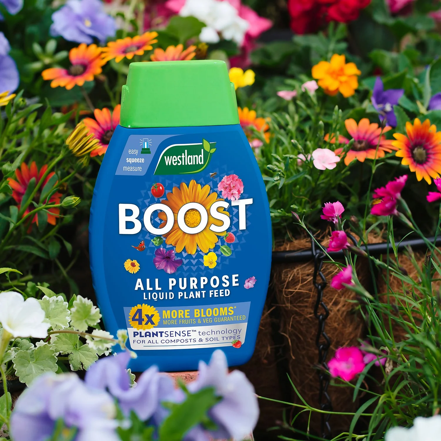 Westland Boost All Purpose Plant Food 1L 2 Westland Boost All Purpose Plant Food 1L - Image 2
