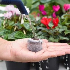 Coco & Coir Seed Germination Dots - 40mm -Garden Care Shop 13487129 3894919981363337