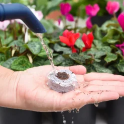 Coco & Coir Seed Germination Dots - 40mm -Garden Care Shop 13487129 7814919981385408